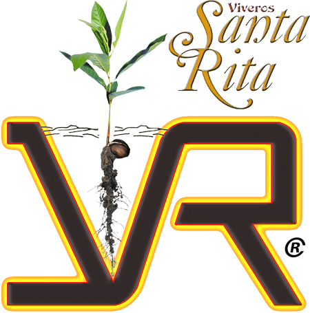 Viveros Santa Rita Logo